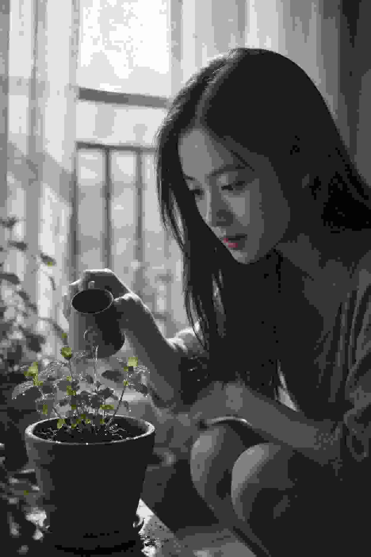 最后的承诺